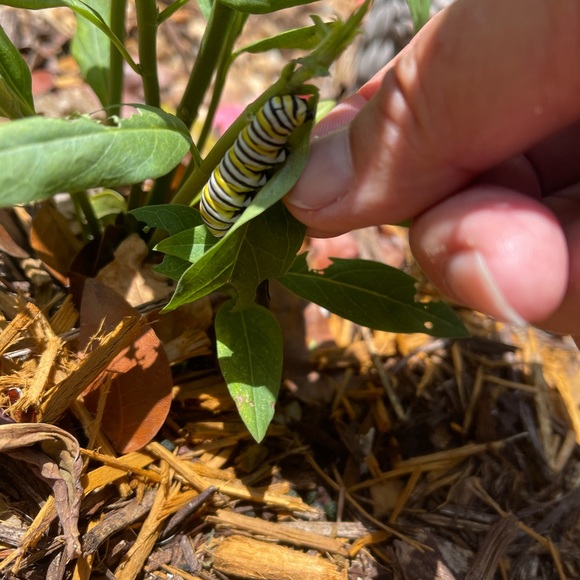 Meet your Posher, Donna - Picture 6 of 8